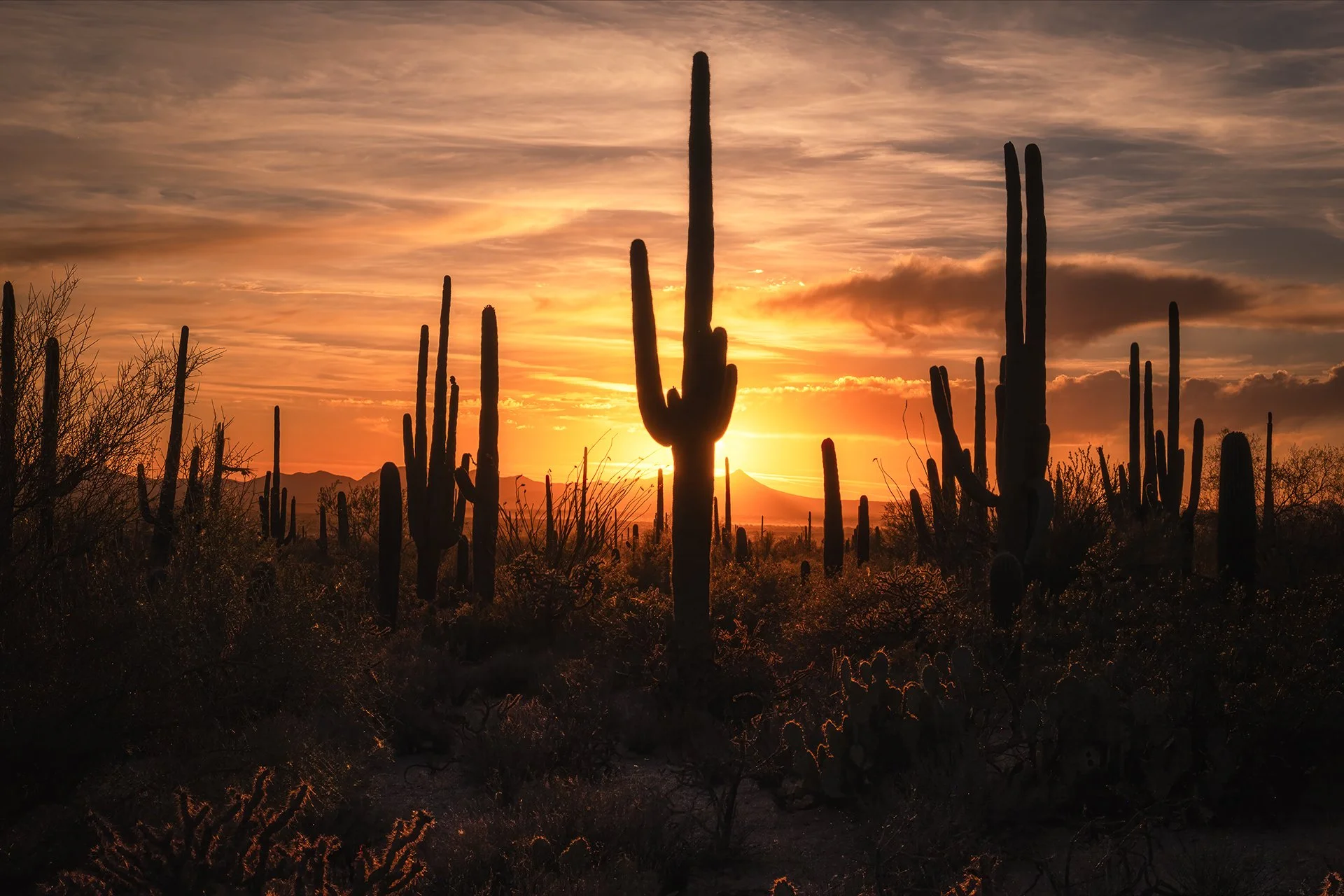 Landscapes — James Molloy Photography